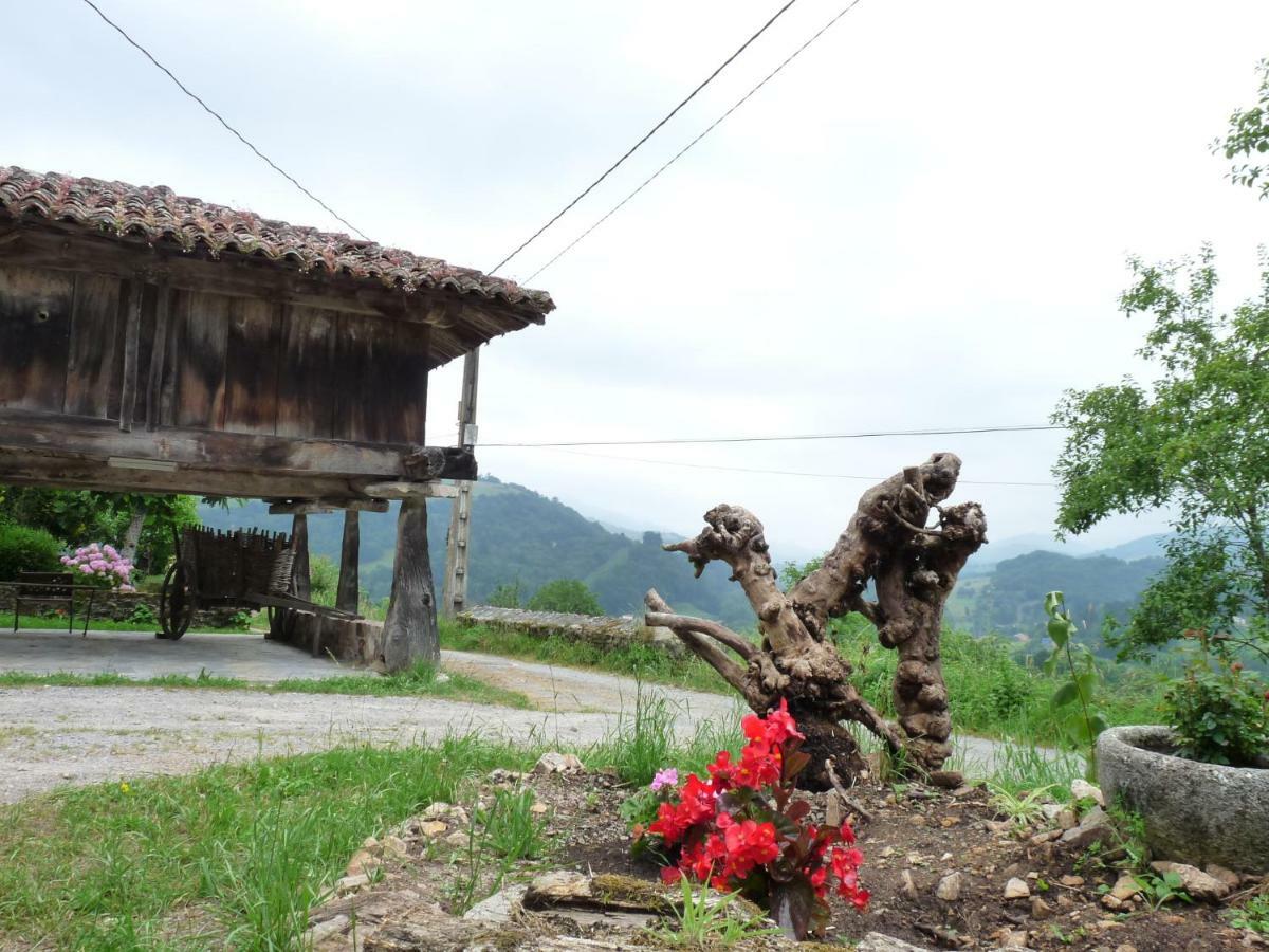 Casa Iris Konuk evi Narciandi Dış mekan fotoğraf