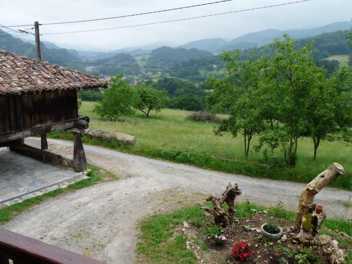 Casa Iris Konuk evi Narciandi Dış mekan fotoğraf
