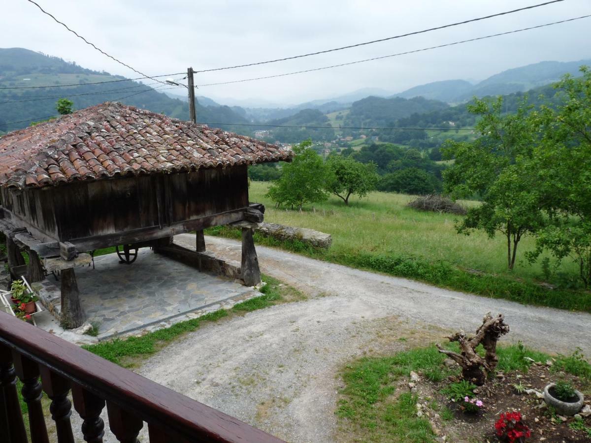 Casa Iris Konuk evi Narciandi Dış mekan fotoğraf